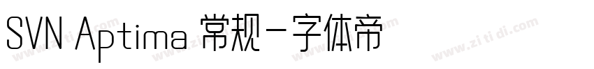 SVN Aptima 常规字体转换